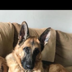 Meet your Posher, Katelin